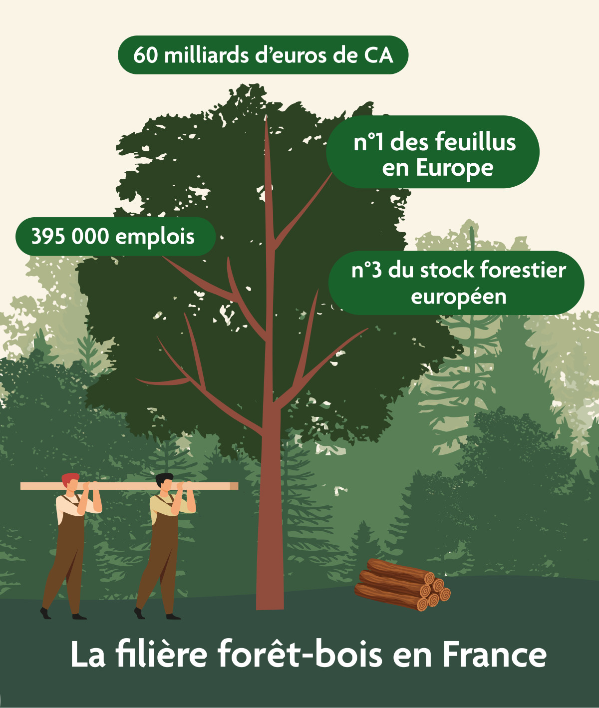 Le territoire de la forêt Retz veut recréer de l'emploi dans la filière bois