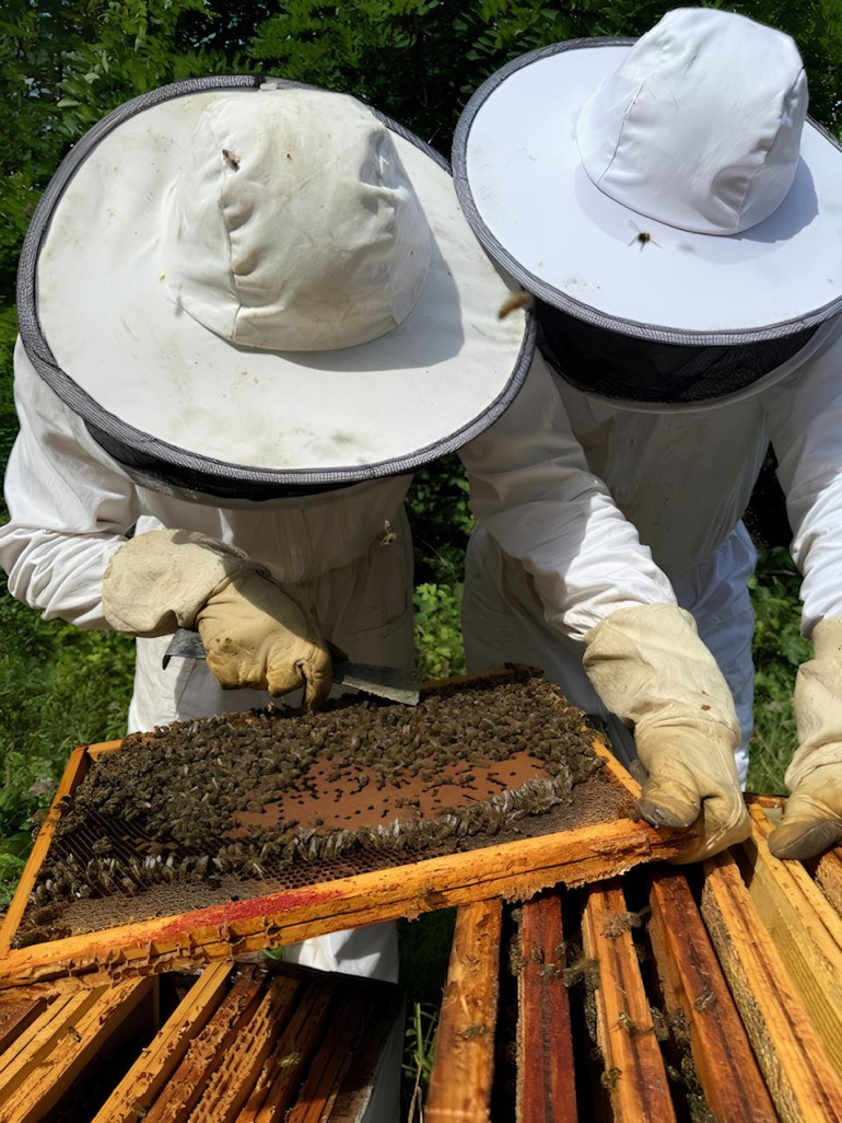 Depuis 1890, la famille Perronneau perpétue la tradition de l’apiculture pastorale. (@Apidis)